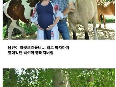 32만회나 공유된 일반 부부의 사진ㅋㅋ