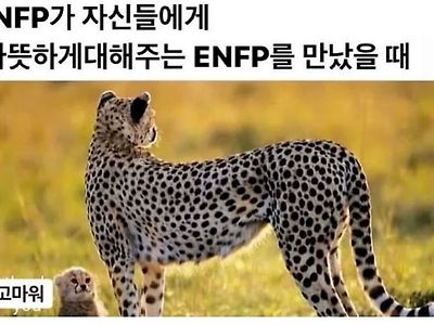 INFP가 따듯한 ENFP를 만났을때.jpg