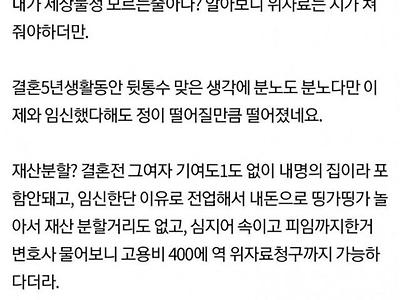 아기 갖겠다 전업하고 피임한 미친년..pann