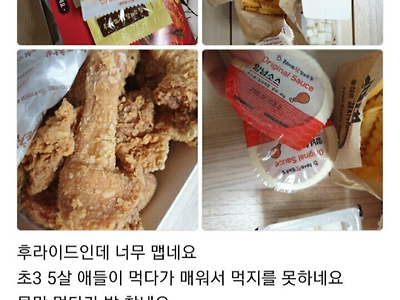 치킨이 너무 매워서 리뷰 쓴 초등학생 아빠