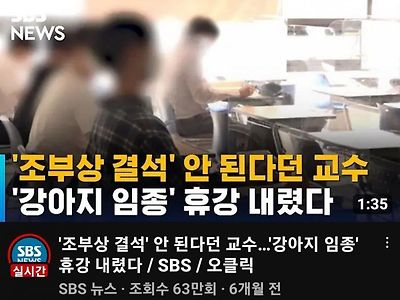 조부상 안된다던 교수, 강아지 임종 휴강 내렸다