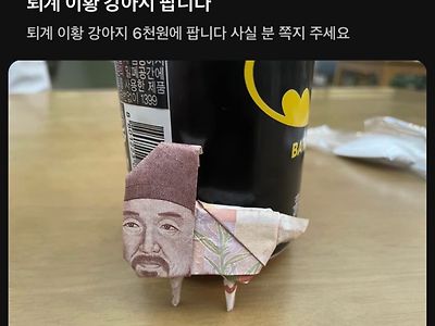 퇴계 강아지