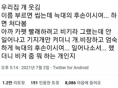 늑대의 후손이시여