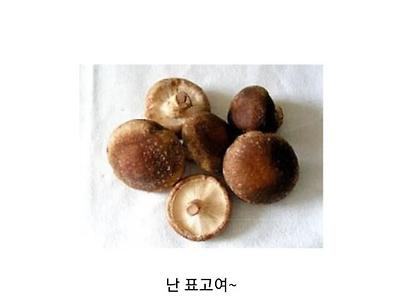 잼민이 급식에 자주 나오는 사기반찬