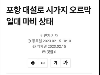 눈 1cm 쌓인 포항 근황
