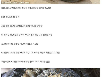 개랑 산책하다 발견한 화석 근황.JPG