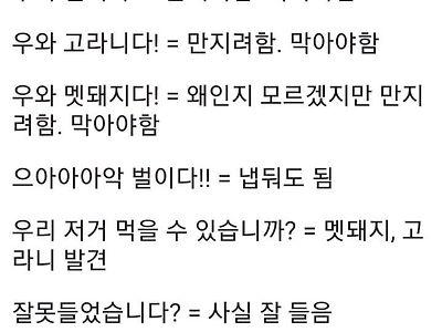 현역 중사가 알려주는 요즘 병사들의 언어