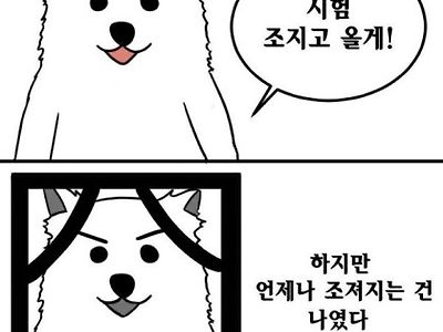 시험이라는 녀석을.