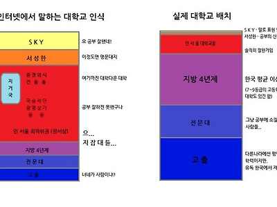 대학교 인식 인터넷과 현실 차이