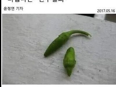 고추가 작은 남성 인성이 더럽다는 연구결과..