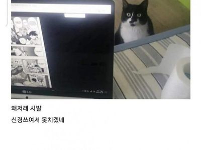 분노의 이유