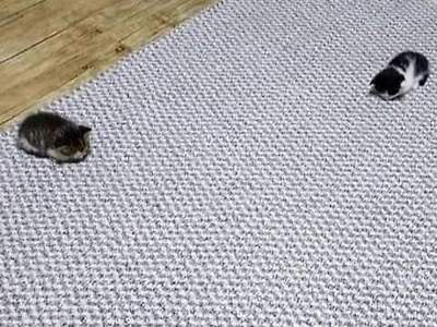 과도한 거리두기