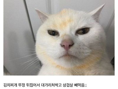 죄책감도 없고 당당함