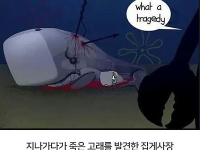 집게사장과 진주가 종이 다른 이유.jpg