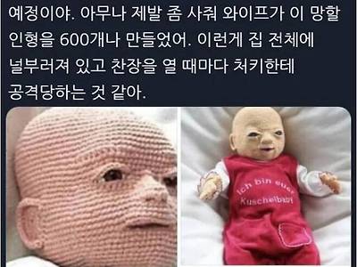 아내가 직접 만든 인형이 맘에 안드는 남편.jpg