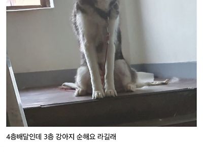 오늘자 배달하다 오줌 지릴뻔했다는 디씨인 ㄷㄷ