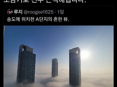 지리는 송도 금수저 아파트의 천국뷰 ㄷㄷ