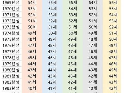 본인 나이 헷갈리는 유게이들을 위한 나이 정리표.jpg