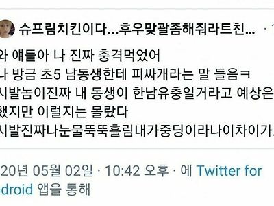 페미 여중생 누나 vs 반페미 초딩 남동생