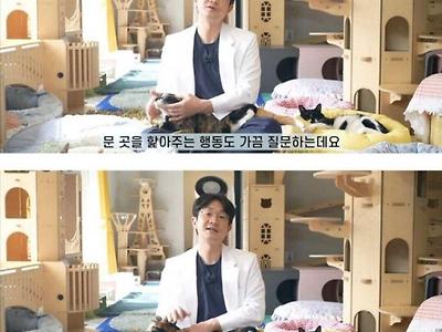 고양이가 사람 물고나서 햝아주는 이유