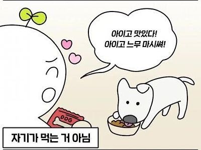 강아지 키우는사람들 특징