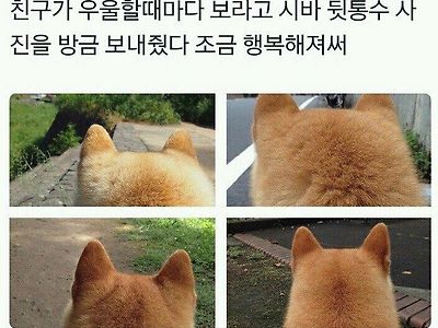 친구가 우울할 때마다 보라고 보내준 사진