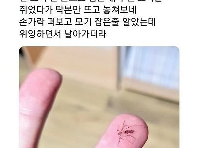 탁본만 뜨고 방생