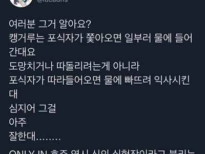 캥거루는 익사를 잘시켜