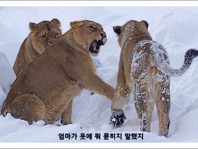 엄마가 옷에 뭐 묻히지 말랬지