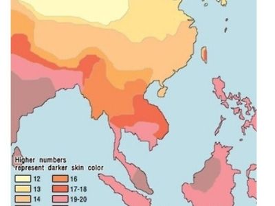 아시아계 피부색 밝기.jpeg