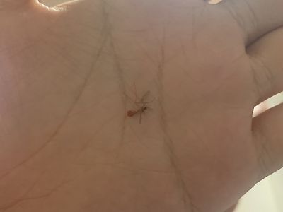 집에 몰래들어온년 피떡나게 때렸다.....