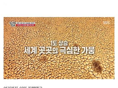 인간이 망쳐버린 지구 날씨 근황