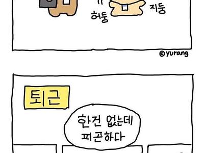 신입사원 첫출근