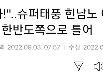 기자의 진심