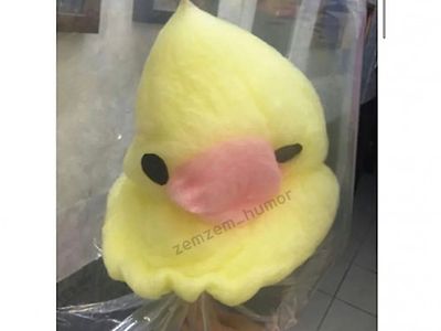 솜사탕 3일 방치 후기