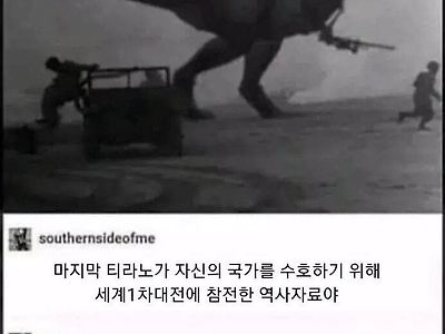의외로 세계 2차대전에 참전한 생물.JPG