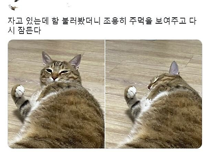 잘 때 건들면 혼난다