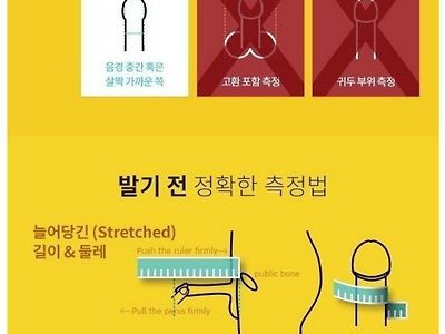 19)남자의 성기 측정법