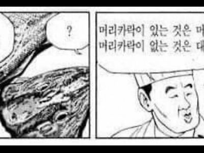 머리와 대가리의 차이 ~