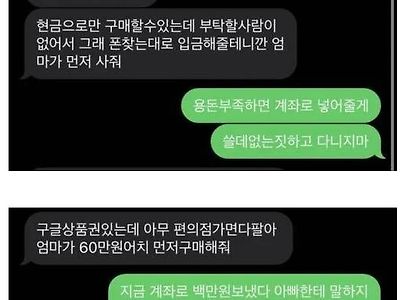 진짜 아들 의문의 이득