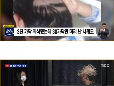 멀쩡한 4천모만 날라간 탈모인