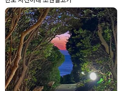 소원 빌기 좋다는 한반도 풍경