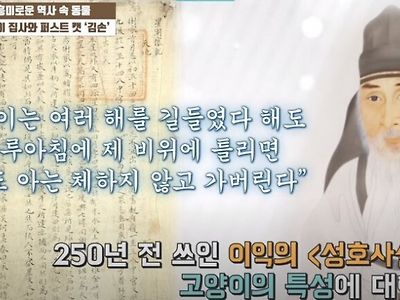 250년전 고양이의 특성