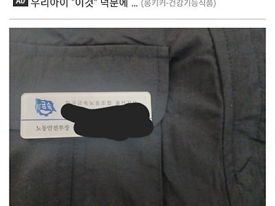 말딸 보고 시위는 자신 있다는 메이플 유저