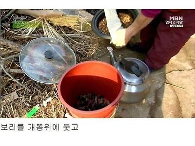 개똥이 약인 이유