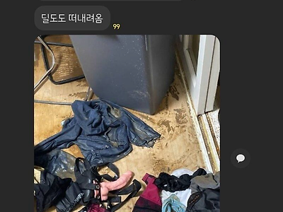 수해로 사생활이 노출된 여자들 ㄷㄷ