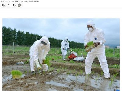 후쿠시마 쌀이 안전한 이유