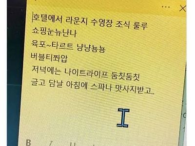 J가 보면 기절하는 P버전 여행계획