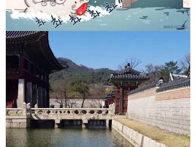 경복궁에 사는 메롱해치.jpg