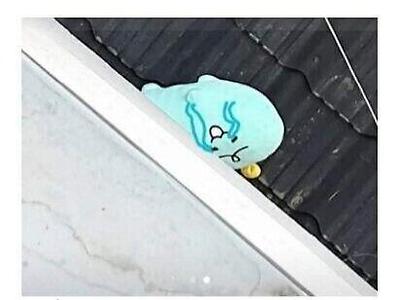 당근마켓에서 연결해준 고인물 낚시꾼.jpg